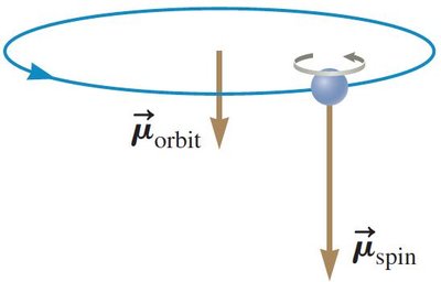 Magnetic moments from orbit and spin
