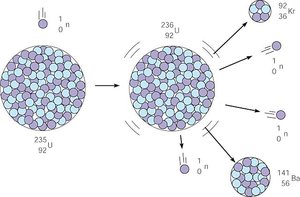 Nuclear fission process