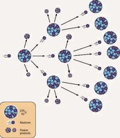 Chain reaction in nuclear fission