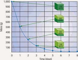 Radioactive decay and half-life graph