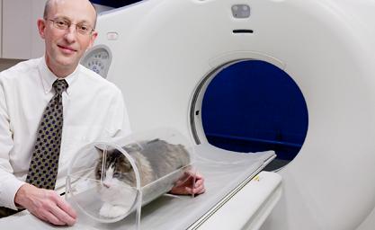 CT scanner with animal patient