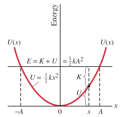 Potential and kinetic energy in SHM