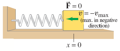 Maximum velocity in SHM
