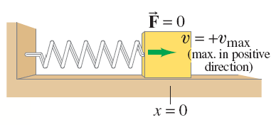 Maximum velocity at equilibrium position