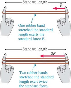 Rubber band force demonstration