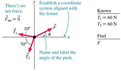 Free-body diagram for the patella
