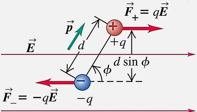 Force and torque on a dipole in an electric field