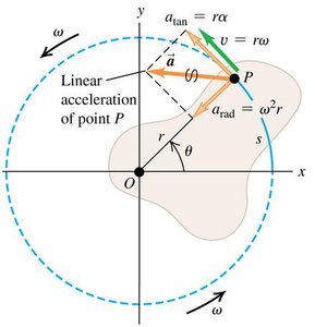 Linear and angular acceleration components for a rotating point
