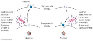 Atomic excitation: electron transitions and photon emission