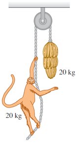 Monkey and banana pulley problem