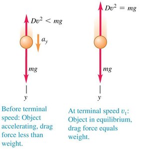 Example calculation of terminal speed for a skydiver