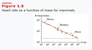 Heart rate as a function of mass for mammals
