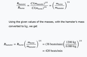 Number of heartbeats in a lifetime calculation
