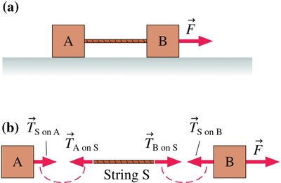 Forces in a massless string: action/reaction pairs