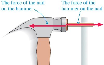 Diagram showing the force of the hammer on the nail and the force of the nail on the hammer