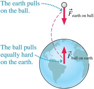 Earth and ball: equal and opposite gravitational forces