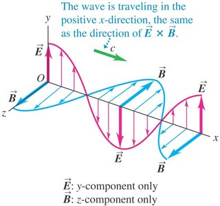 Sinusoidal electric and magnetic fields in an EM wave