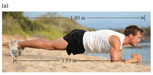 Plank exercise: physical setup