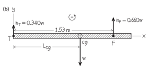 Plank exercise: free-body diagram