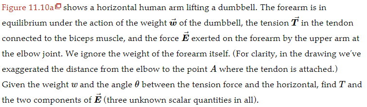 Dumbbell curl: arm equilibrium diagram