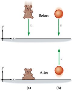 Teddy bear and ball before and after collision