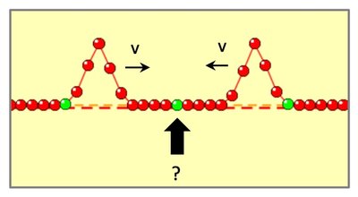Two upward pulses approaching each other on a string