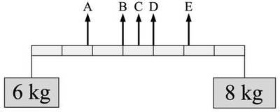 Stick with masses and possible center of mass points