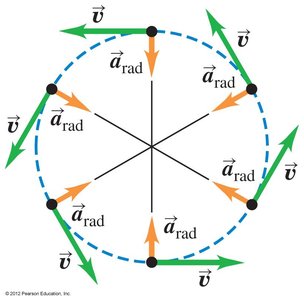 Centripetal acceleration vectors in uniform circular motion