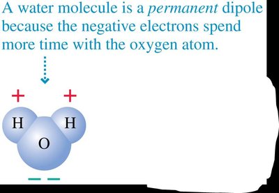 Permanent dipole in a water molecule