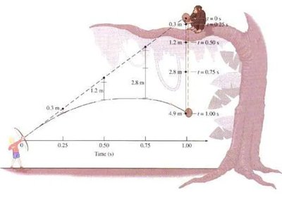 Monkey and hunter projectile experiment