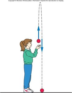 Throwing a ball upward
