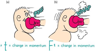 Boxer riding with the punch