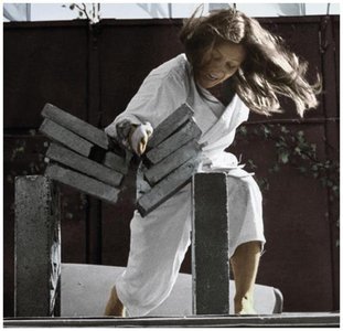 Karate expert breaking bricks
