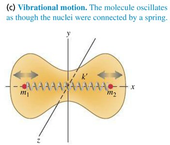 Vibrational motion of a diatomic molecule
