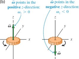 Angular velocity vector direction: positive and negative z-axis