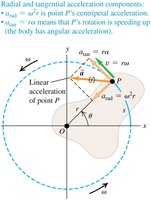 Tangential and radial acceleration components in rotation