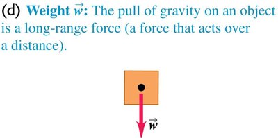 Weight force acting downward due to gravity