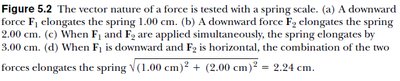 Spring scale measuring force