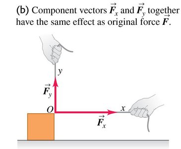 Component vectors Fx and Fy