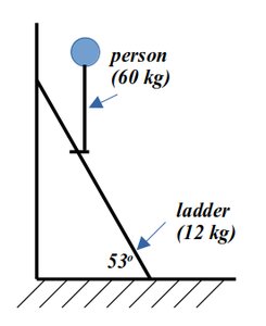 Ladder leaning against wall with person climbing
