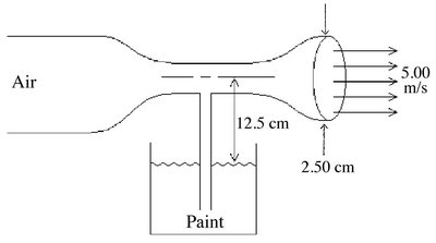 Paint sprayer with constriction and feed tube