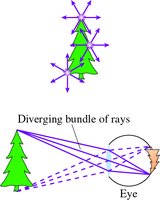 Eye focusing diverging bundles of rays