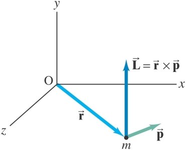 Angular momentum of a particle