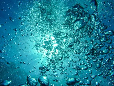 Bubbles rising in water, illustrating fluid behavior
