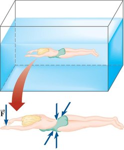 Diagram showing force on a swimmer's hand due to pressure
