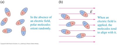 Polar molecules in electric field