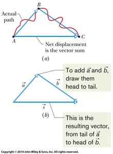 Commutative property of vector addition