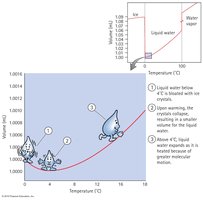 Graph showing volume changes of water with temperature