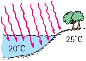 Comparison of temperature change between water and land