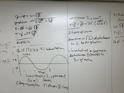 Simple harmonic motion equations and graphs